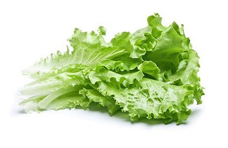 Самая полезная зелень-листовой салат