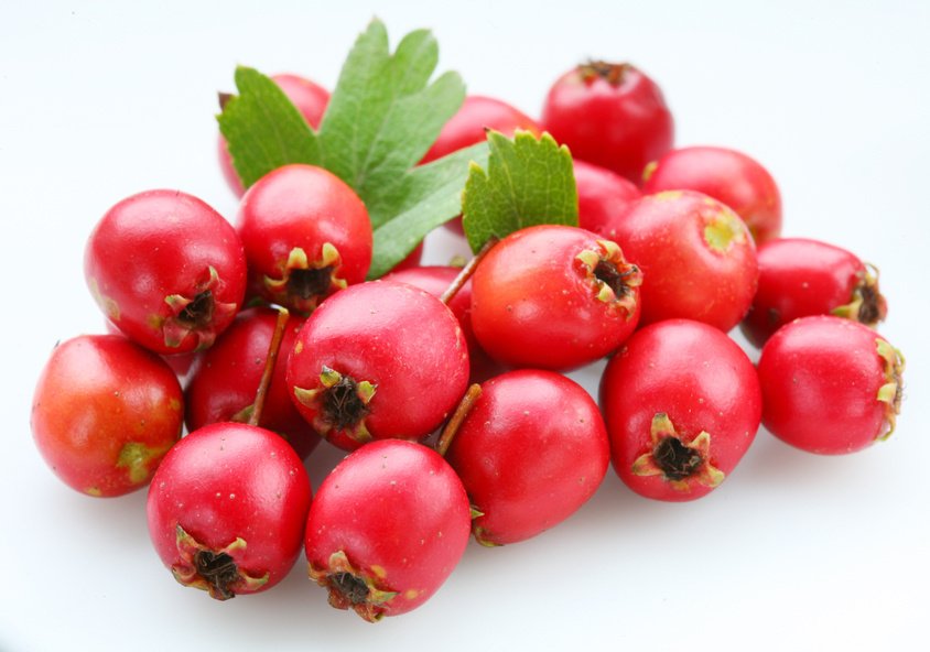 А чем полезны ягоды боярышника?