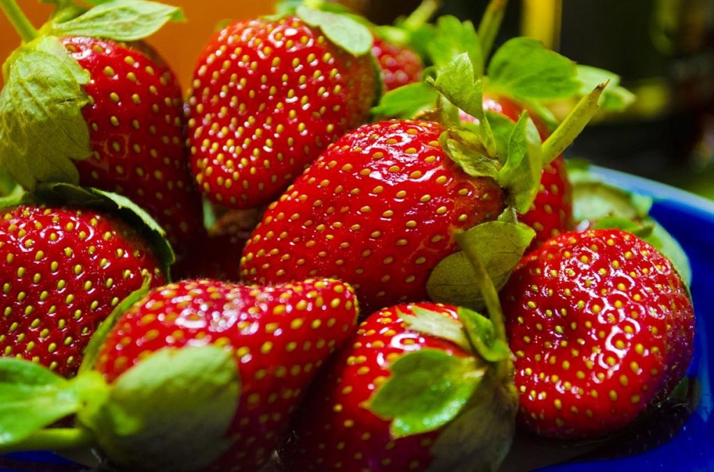 Самые полезные ягоды: клубника и земляника