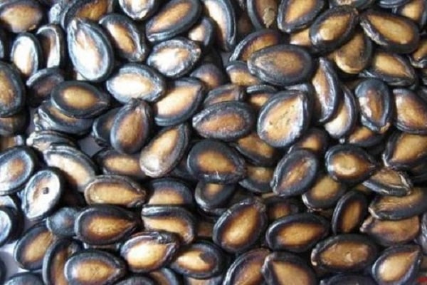 Полезные свойства арбузных семечек